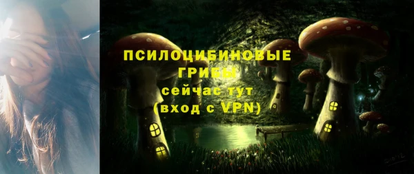 прущие грибы Алзамай