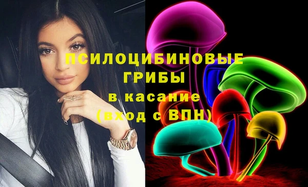 МДПВ Алексин