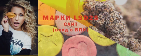 прущие грибы Алзамай