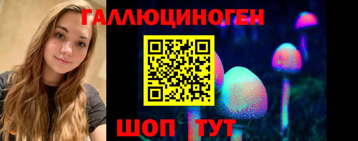 Псилоцибиновые грибы Psilocybine cubensis  Вход с VPN  Конаково 